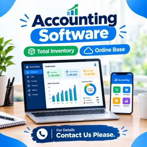 Accounting Software